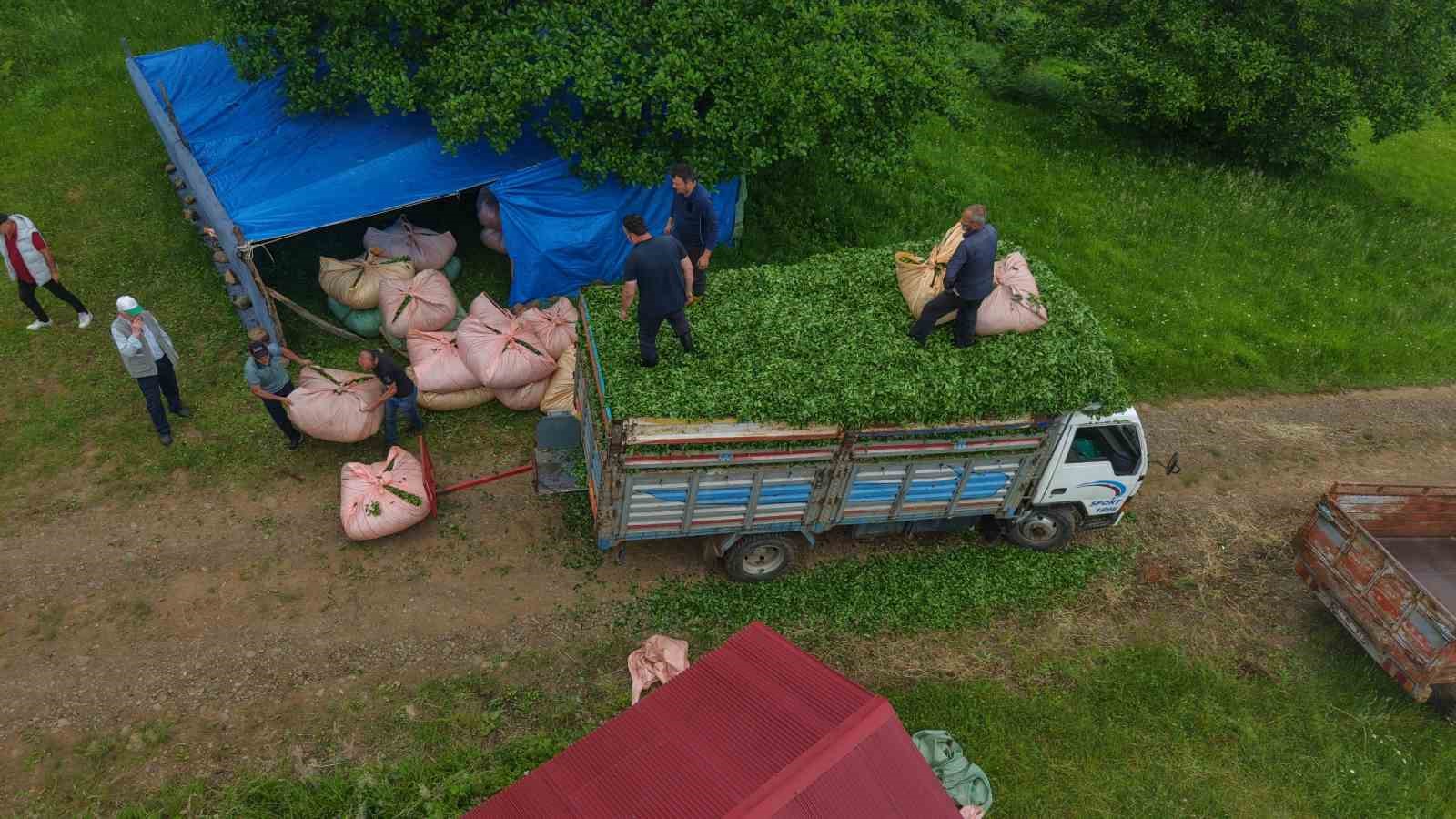 karadeniz-insani-yine-zekasini-konusturdu-zor-isi-kolaylastirdi