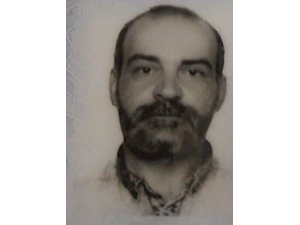 180 Kilometre Hızla Önce Ağaca, Sonra Da Otobüs Durağı Çarptı