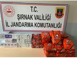 Şırnak’ta Kaçakçılık Ve Terörle Mücadele Operasyonu: 63 Gözaltı