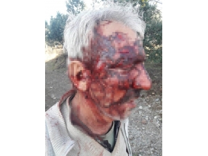 Engelli Vatandaşı Öldüresiye Dövüp Çukura Attı