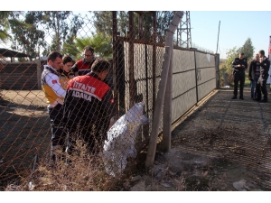 Demir Kapıya Kafası Sıkışan Çocuk Feci Şekilde Öldü