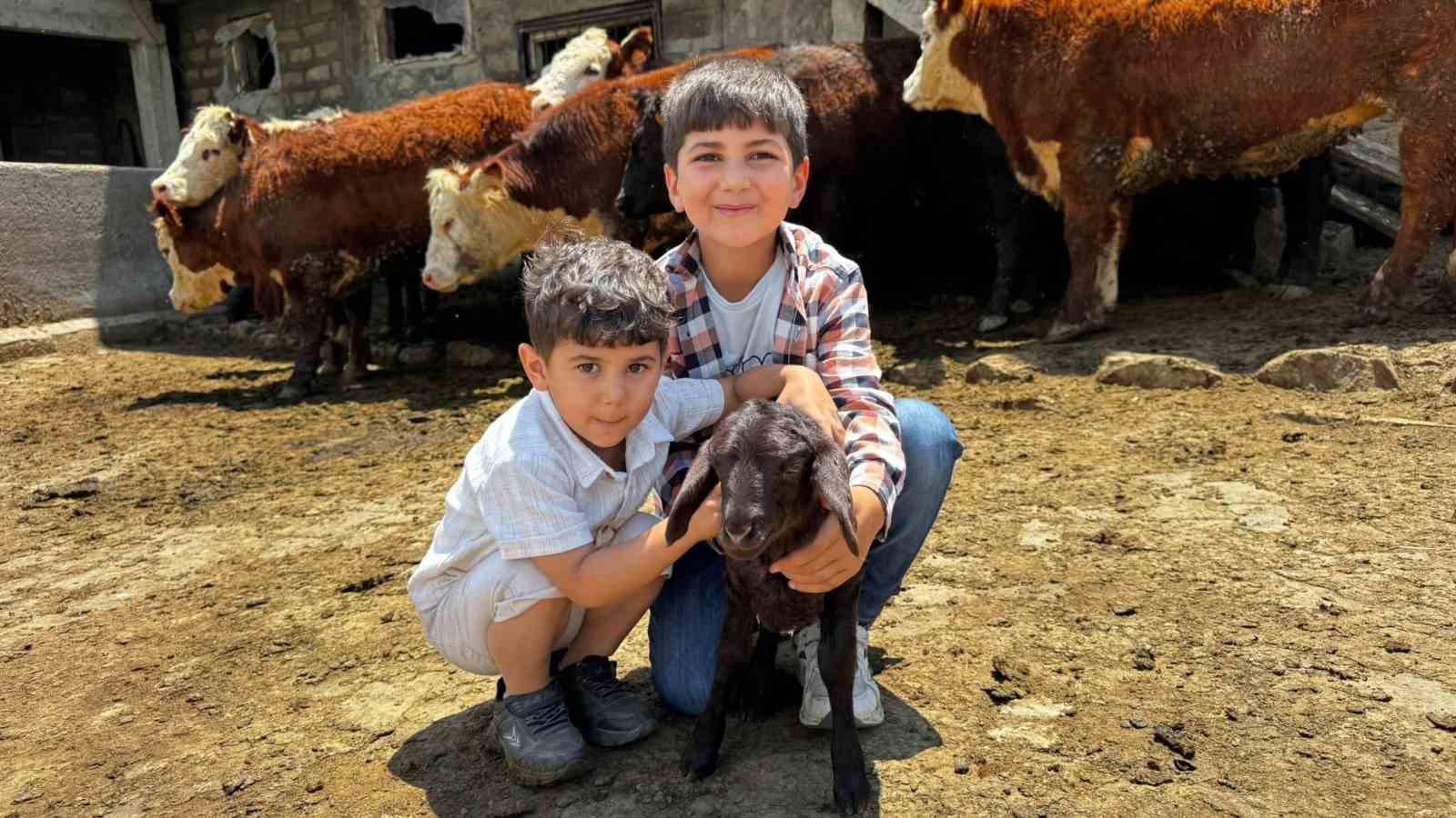 agri-da-damizlik-destegiyle-kirmizi-et-uretimi-gucleniyor