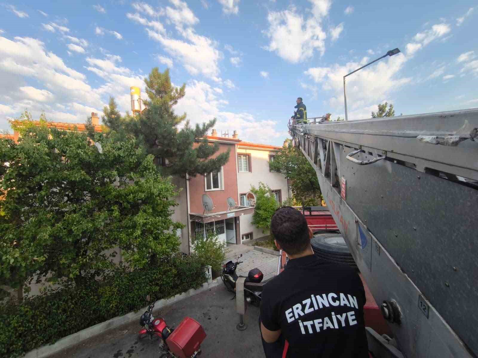 erzincan-da-catidaki-kedi-itfaiye-ekiplerince-kurtarildi
