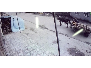 İnegöl’ün Başı Hırsızlarla Dertte