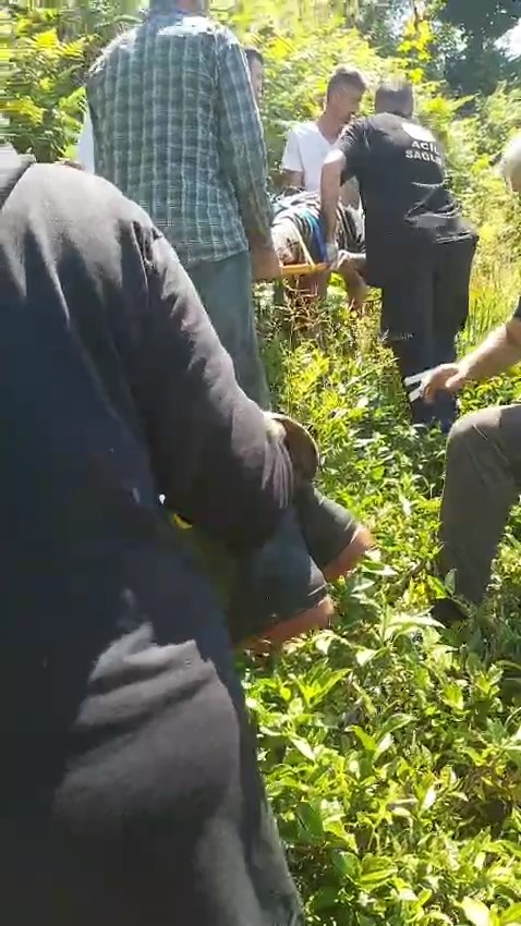 kiraz-toplamak-icin-ciktigi-agactan-dustu