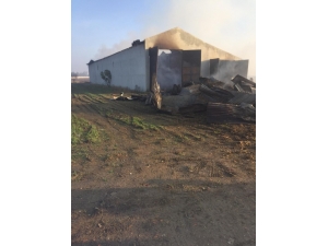 6 Bin Saman Balyası Kül Oldu