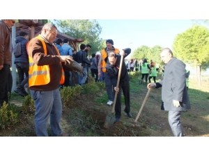 Takım Çalışması Dersinde Fıstık Çamlarını Toprakla Buluşturdular