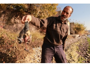 20 Tane Güvercinini Telef Eden Atmaca İle Sohbeti Dikkat Çekti
