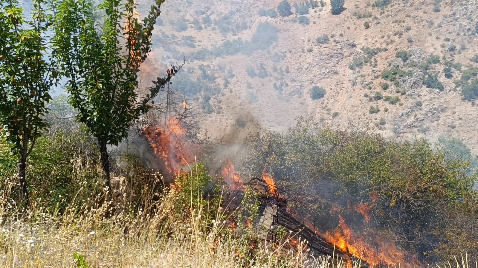 malatya-da-meyve-bahcesi-ve-uzum-baglarinda-yangin