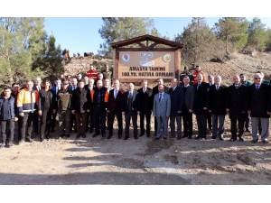 Amasya Tamimi 100. Yıl Hatıra Ormanı’na Fidanlar Dikildi