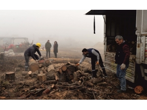 Park Ve Bahçelere Bakım Çalışması Yapılıyor