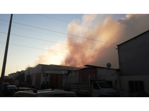 Efeler’de Hurdacılar Sitesinde Yangın