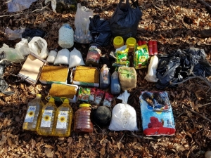 Kıran-8 Sehi Ormanları Operasyonu Devam Ediyor