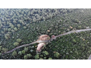 Büyükada’da Kazılan Dev Çukurlar Havadan Görüntülendi