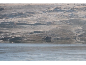Her Yerde Aranıyordu, Gölette Ölü Bulundu