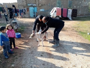 Çobanbey’de Kedi Ve Köpeklere Kuduz Aşısı Yapılıyor