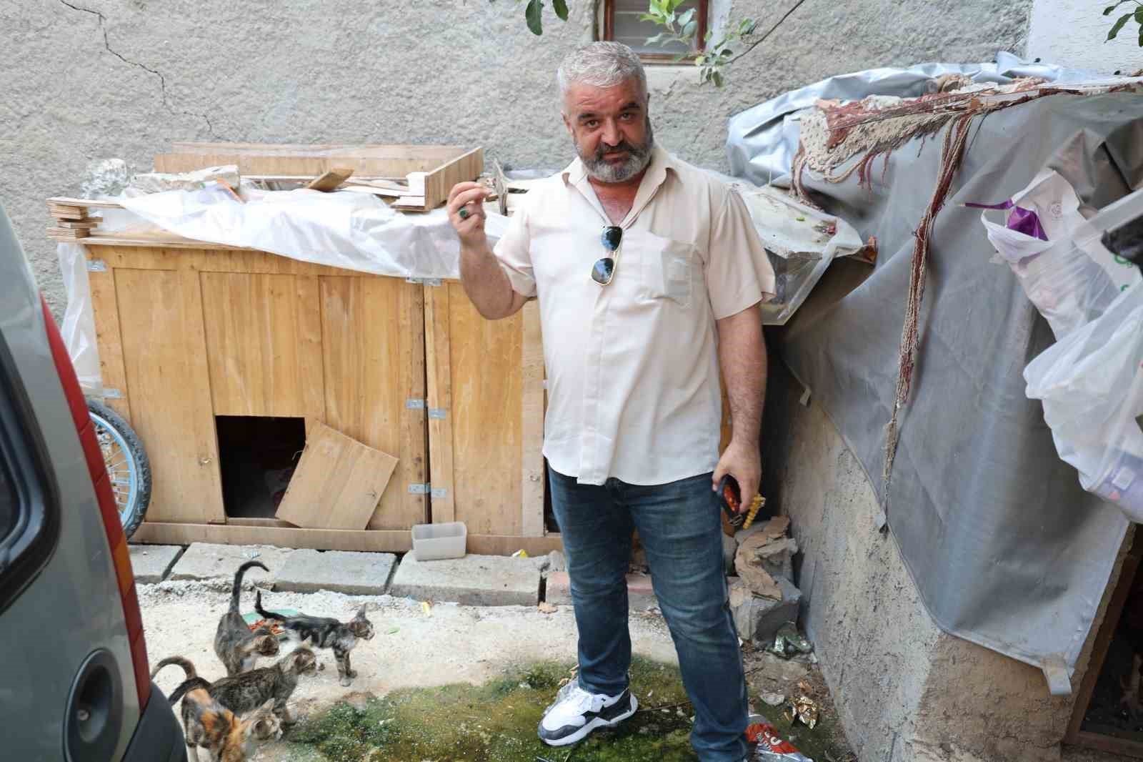 kedi-mamasi-calan-hirsiz-vatandasi-canindan-bezdirdi