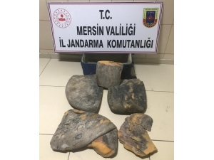 Mersin’de Balına Kusmuğu Operasyonu
