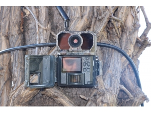 Manavgat’ın Ormanları Kızılötesi Görüntü Alabilen Foto Kapanlar Koruyacak