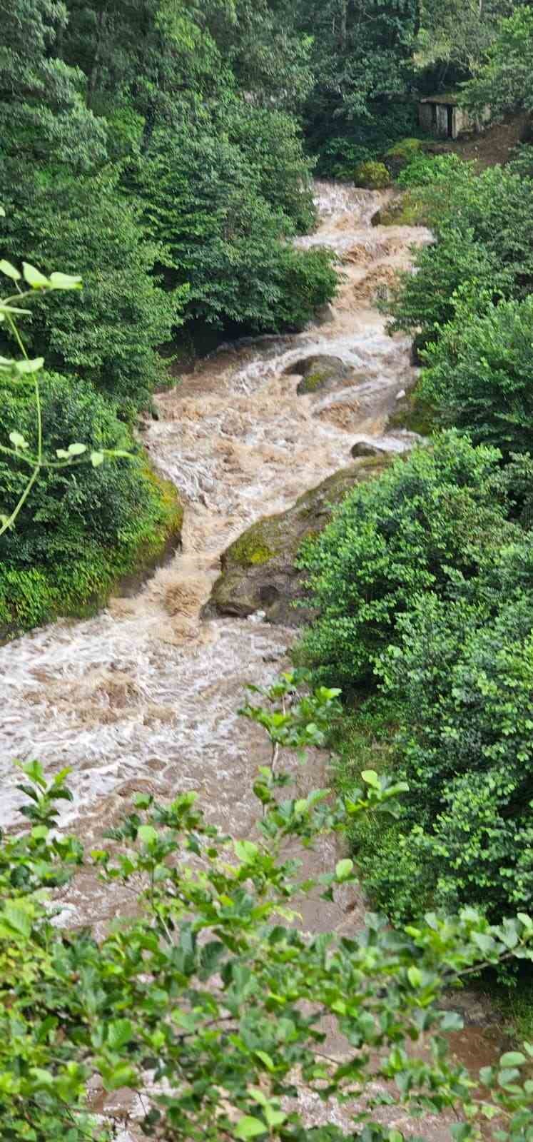 giresun-da-anne-ile-2-kizi-sel-sularina-kapildi