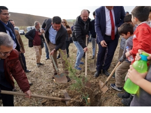 Çorlu Öğretmenler Ormanı Büyüyor