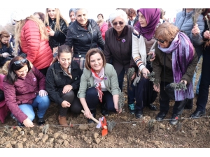 İzmitli Kadınlar Üretime Lavanta Bahçeleriyle Ortak Oluyor