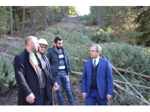 Kaymakam Pişkin, “Dipsizgöl En Önemli Projemiz Olacak”