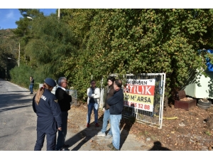 Marmaris’te Sahipli Köpekler Zehirlendi