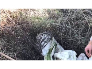 Diyarbakır’da Kıran-11 Operasyonu Başlatıldı