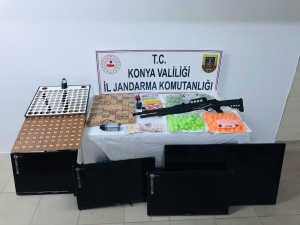 Konya’da Jandarmadan Kumar Operasyonu: 2 Gözaltı