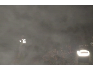 Siste Kayıp Olan 150 Koyun, 9 Saatlik Çalışma İle Buldu