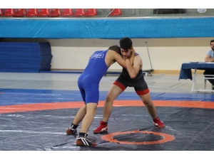 Genç Pehlivanlar Heyet-i Temsiliye Kupasında Mindere Çıktı