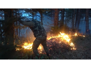 Uludağ Etekleri Alevlere Teslim