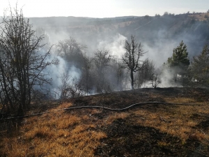 Devrekani’de Yangında 80 Dekarlık Alan Zarar Gördü