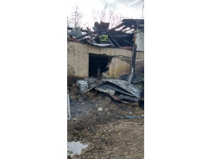 Sinop’ta Ahır Yangını: 5 Büyükbaş Hayvan Telef Oldu