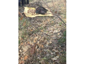 Yaşlı Kadın 29 Gün Sonra Ölü Bulundu