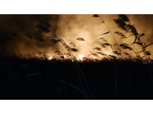 İznik Gölü Kıyısında Sazlık Yangını