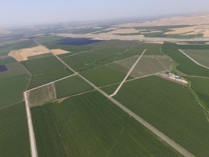 Toplulaştırma Araziye Değer Katıyor