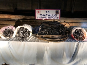 Çalınan 8 Telefon Direği Köyden Çıktı