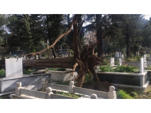 İnegöl’de Ağaçlar Devrildi, Birçok Mezar Zarar Gördü