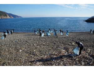 Duyarlı Gençler Sahili Temizledi