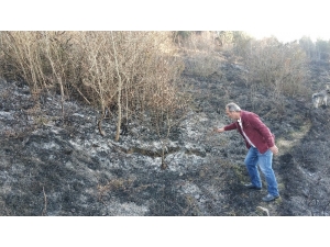 Samsun’da Ormanda Örtü Yangını