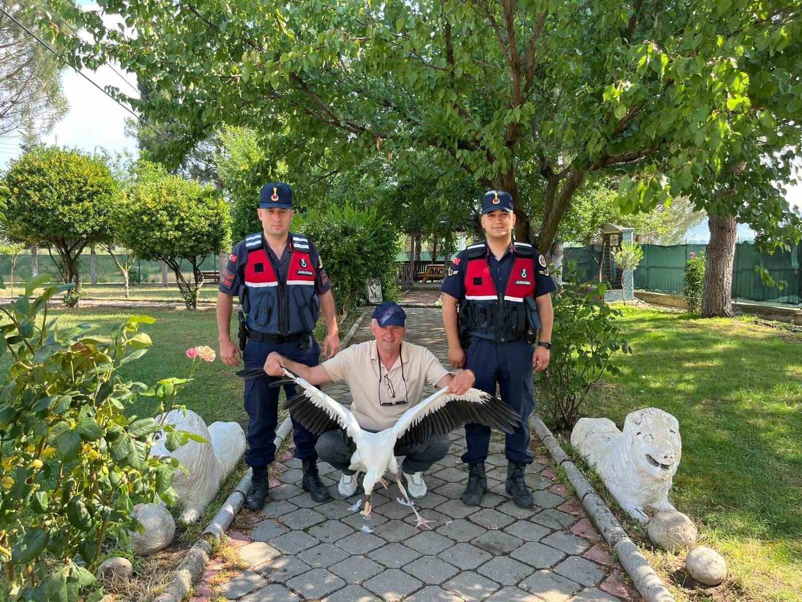 yarali-leylek-icin-seferber-oldular