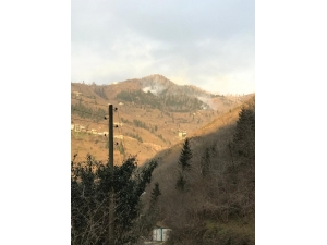 Trabzon’da Örtü Yangınları Sürüyor
