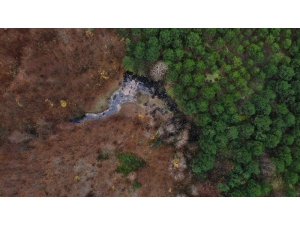 Şile’de Ormana Bırakılan Yüzlerce Otomobil Lastiği Havadan Görüntülendi