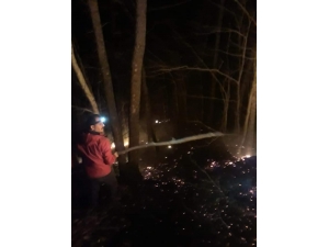 Artvin’de Orman Yangını