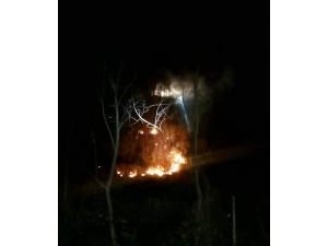 Orman Yangınları Korkuttu