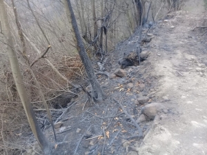 Yangının Bilançosu Gün Ağırınca Ortaya Çıktı