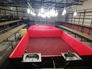 Ekipler Şok Oldu: Horoz Dövüşü İçin Arena Kurmuşlar