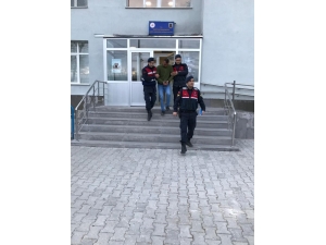 İl Jandarma Komutanlığı’ndan Terör Operasyonu: 1 Gözaltı